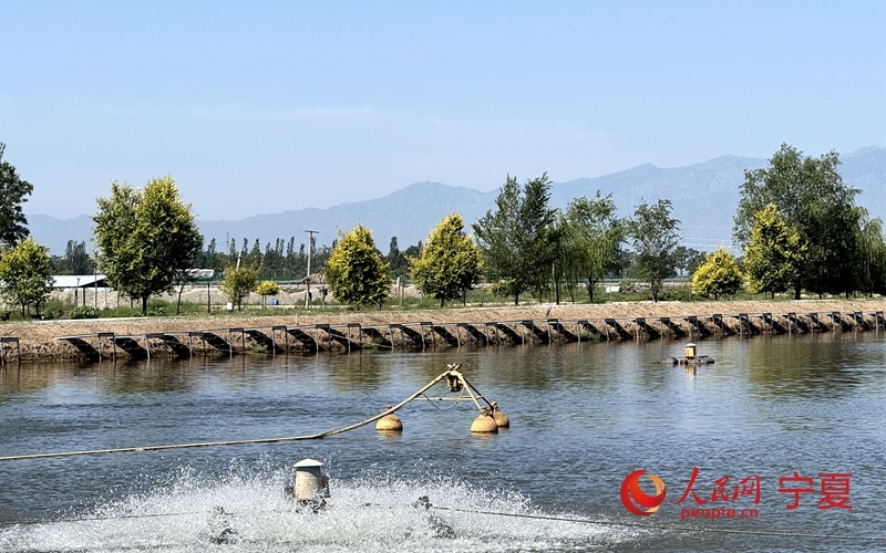 槽环岛钓池, 余爱好组双, img